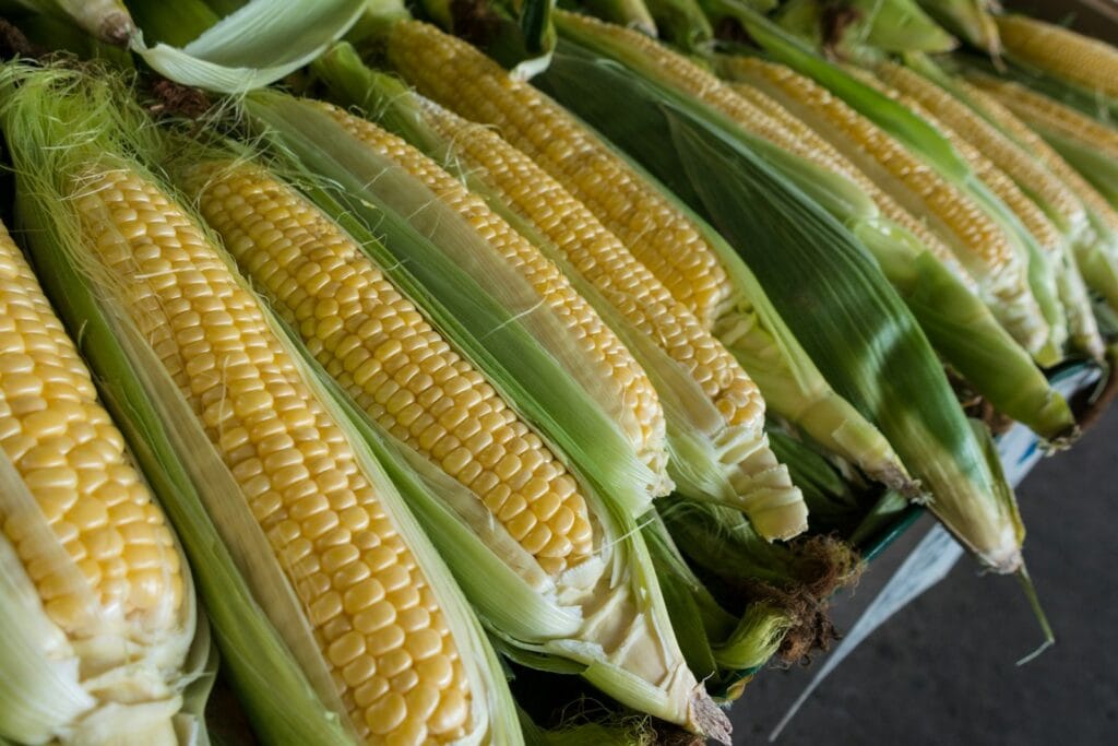 Mexican Grilled Corn with Cilantro