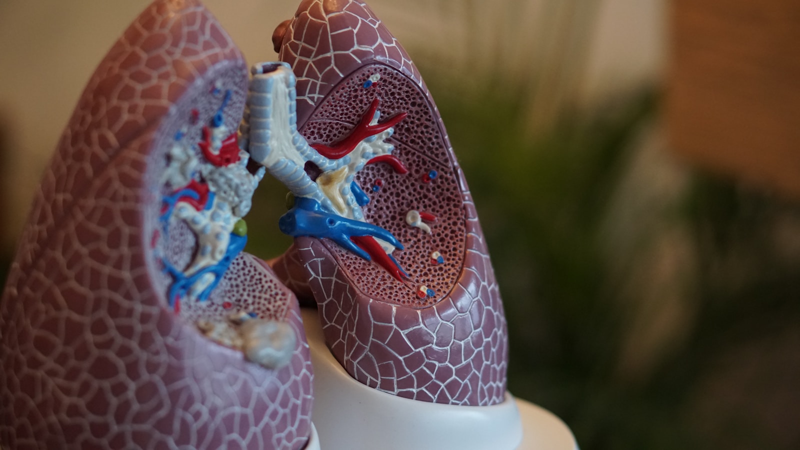 Facing Lung Cancer: Uncovering the Risks and Why Early Detection is a Game Changer