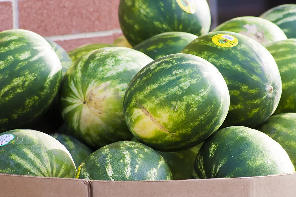 14 Creative Ways to Enjoy Watermelon: Your Ultimate Guide for National Watermelon Day
