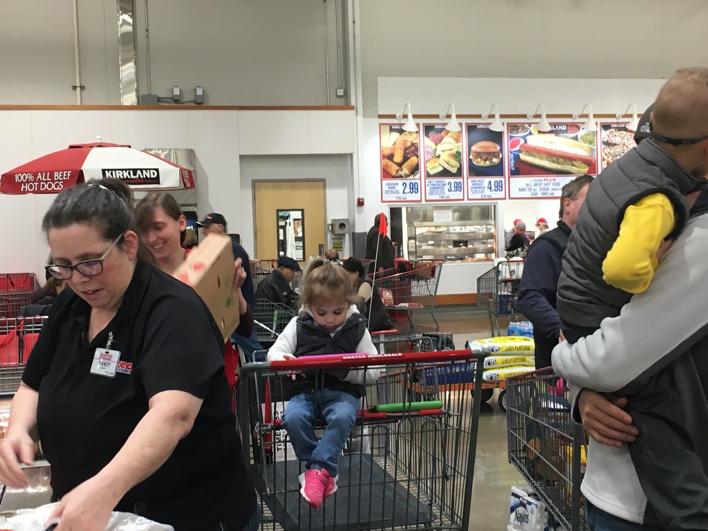 From Dino Buddies to Secret Sales: How My NYC Family Masters Costco Shopping Without Overloading the Fridge